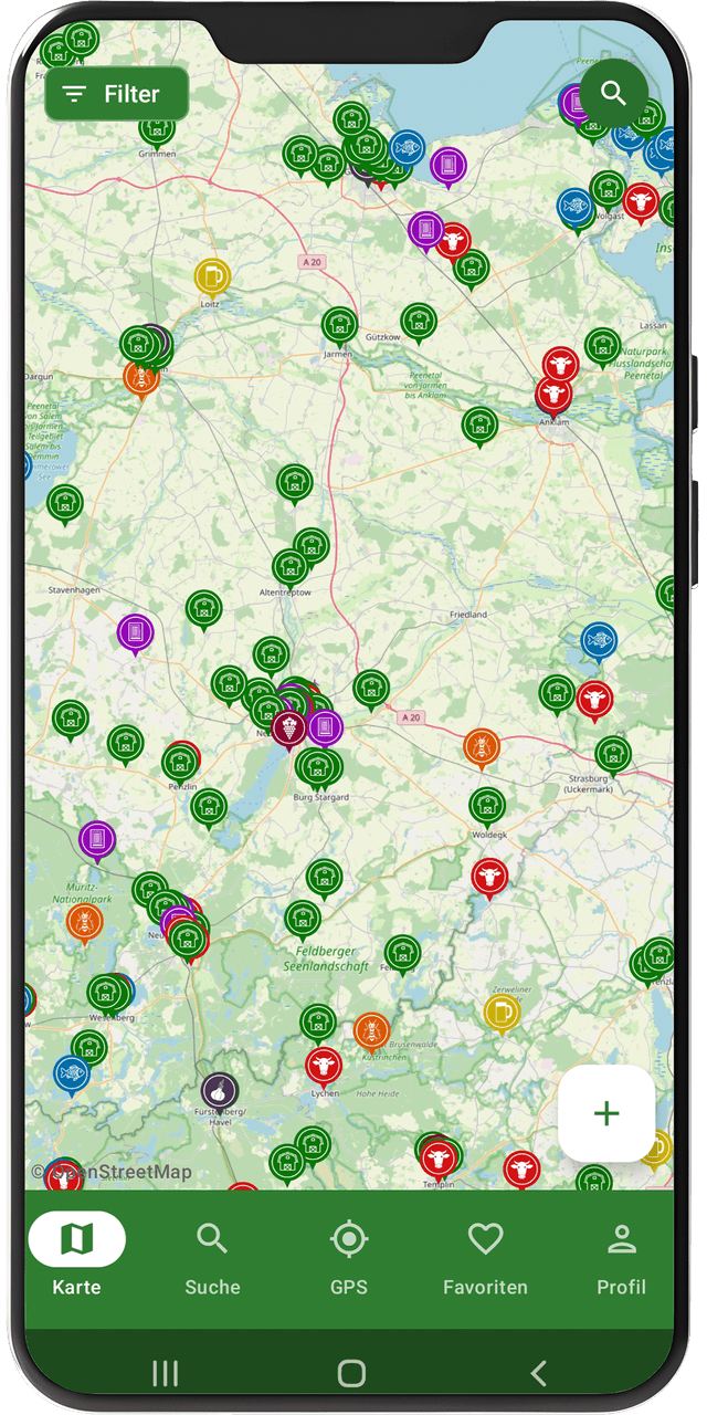 Store-Detail Ansicht